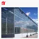Lida Group images of greenhouses company for plant growth 3