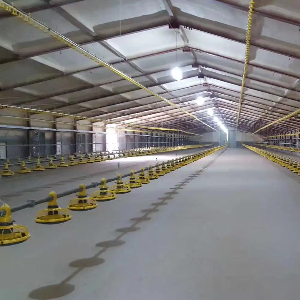 Steel Structure Poultry Farm Sheds 1