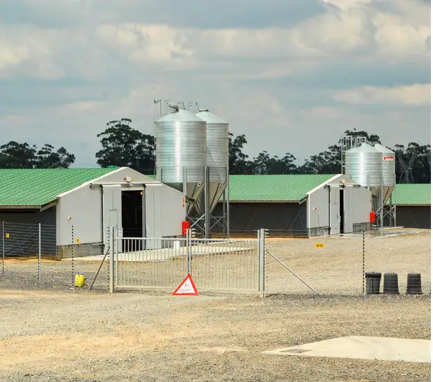 easy to installment High-quality poultry house air condition poultry farm for sale 1