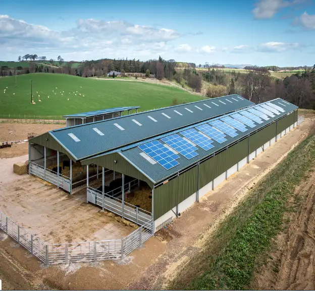 easy to installment High-quality poultry house air condition poultry farm for sale1 1