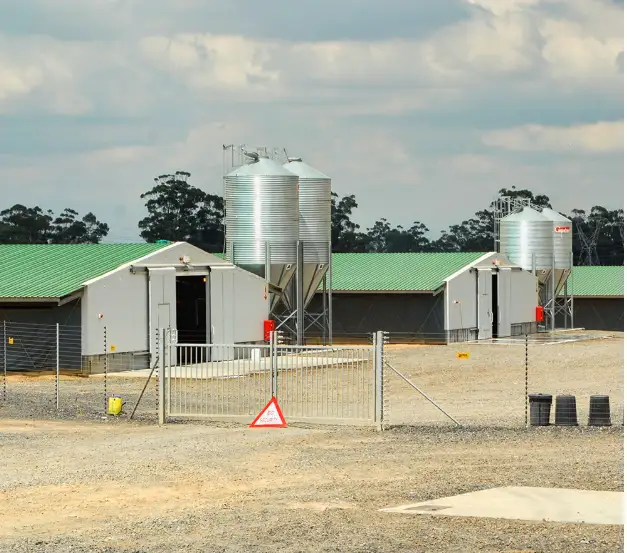 prefabricated steel structure warehouse/poultry farm/gym hall 1