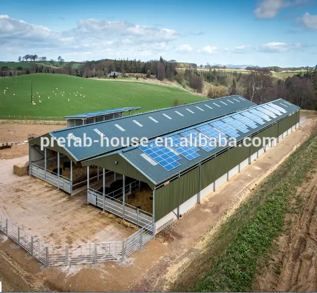 Prefab Steel Shed Horse Stable Metal Structure chicken Cow Farm Building 1
