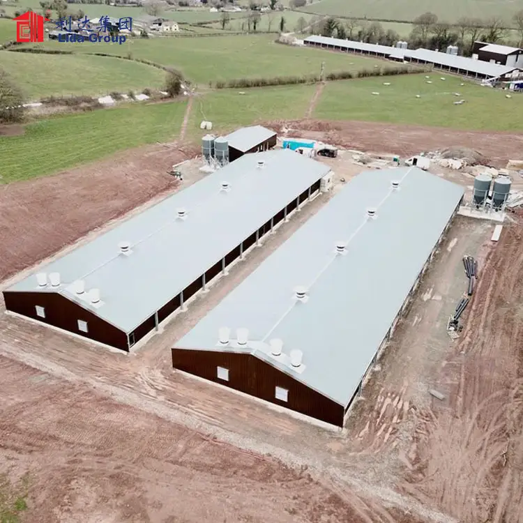Bangladesh Prefabricated Steel Structure Poultry Farm House 1