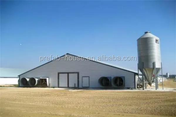 Lida Group Top chicken egg farm for sale Supply for poultry farming 2