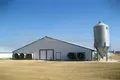 Lida Group Top chicken egg farm for sale Supply for poultry farming 2