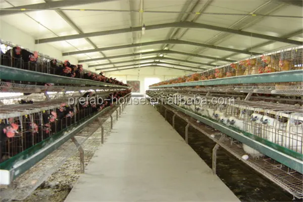Latest broiler farm layout shipped to business for poultry farm 2