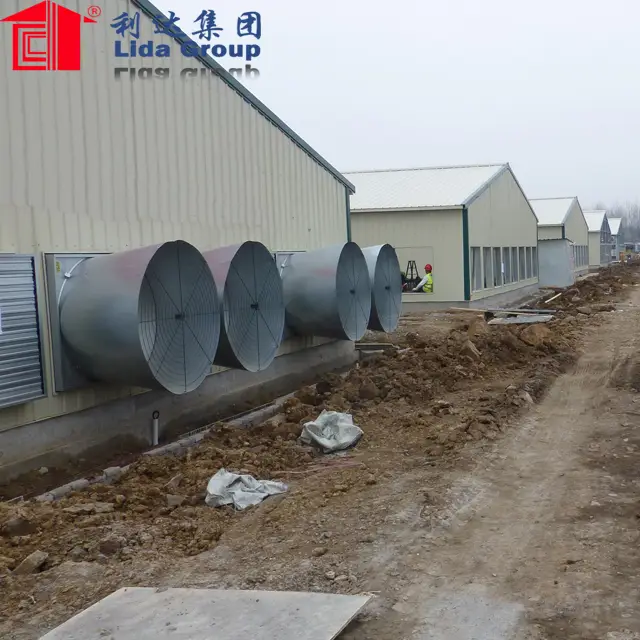 full auyomatic system egg layer poultry house design for chicken farm philippines 1