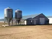 Lida Grupo Nuevo diseño de gallinero para aves de corral, compra a granel para cría de aves de corral. 3
