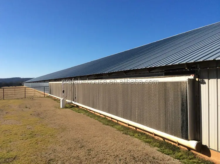 Lida Grupo Nuevo diseño de gallinero para aves de corral, compra a granel para cría de aves de corral. 2