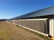 Lida Grupo Nuevo diseño de gallinero para aves de corral, compra a granel para cría de aves de corral. 2