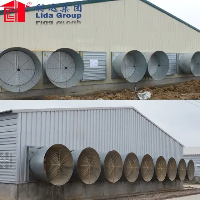 Top murgi farm business Supply for poultry raising 4