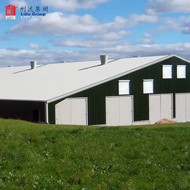 Chicken egg poultry farm in malaysia 1