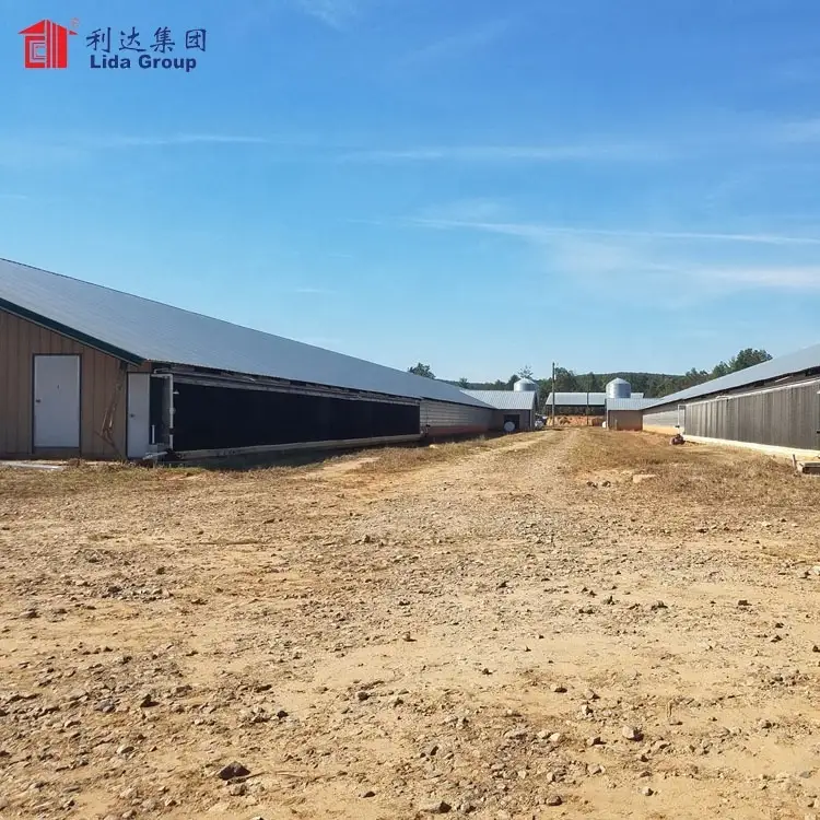 Hot dip galvanized 15mX100m poultry farm business plan in hindi sample pdf for sale 650k 1