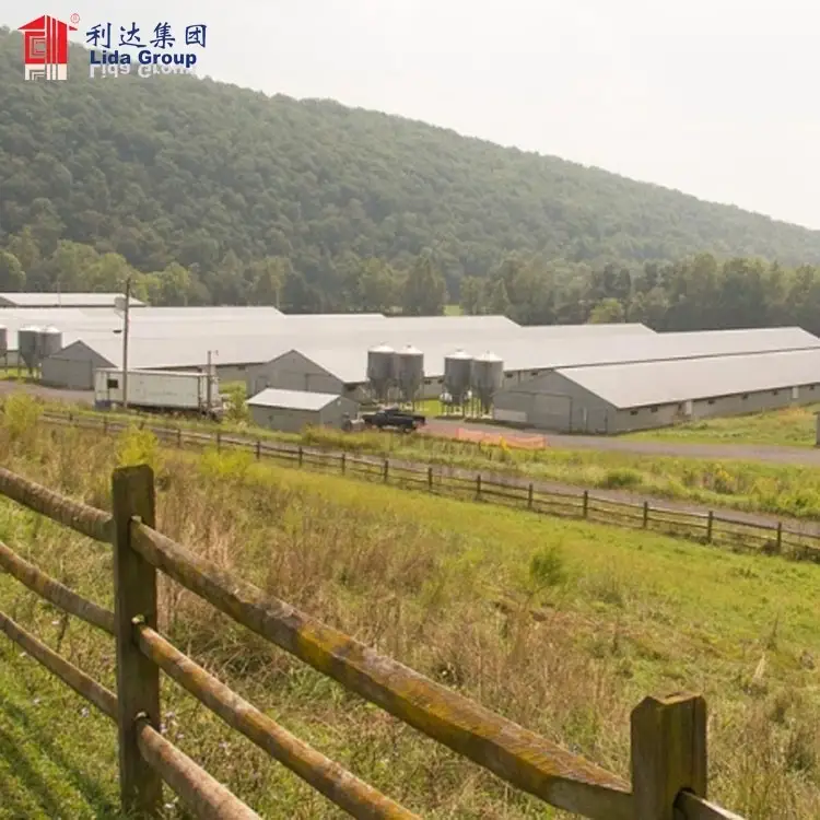 High quality heat proof open side poultry farming equipment chicken broiler house type poultry farming shed for Mauritania 1