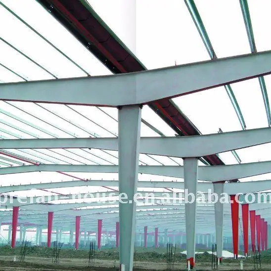 Long span steel structural building LD-S-005 1