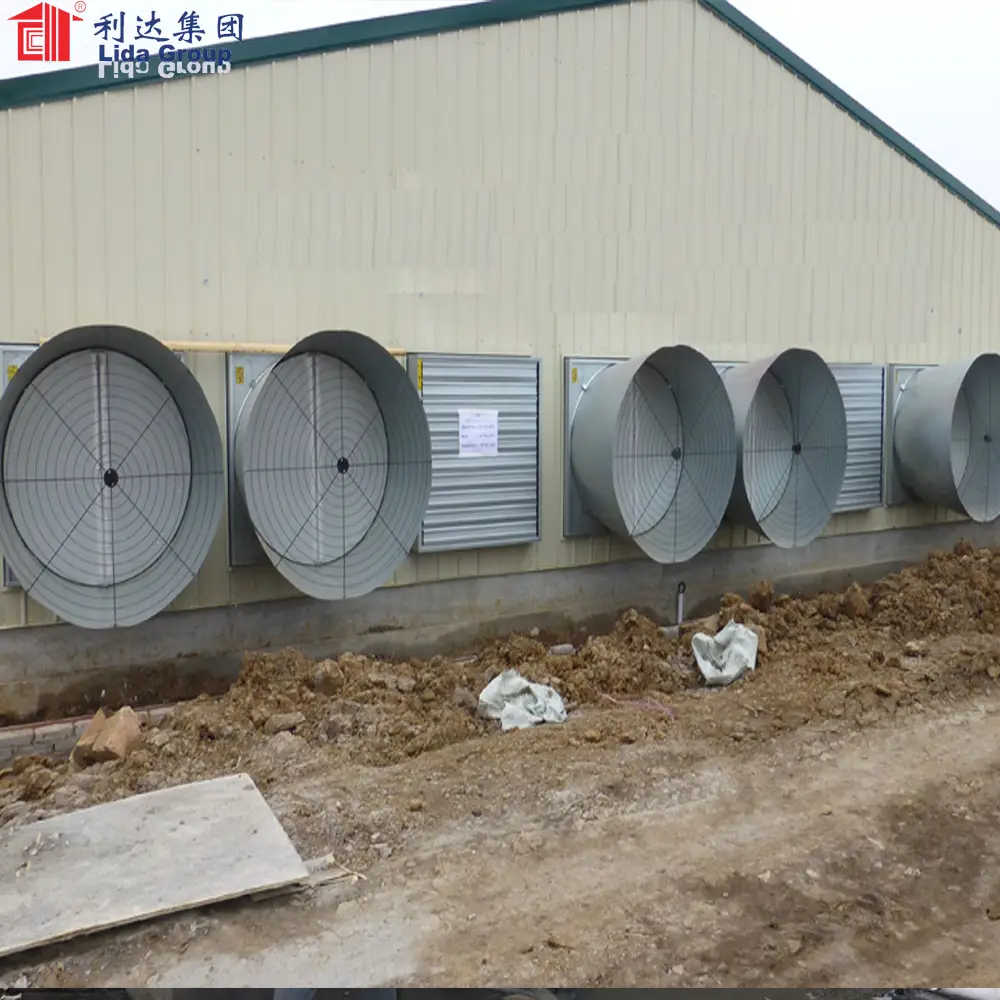 Light Steel Frame Structures use for chicken shed, steel house, 1