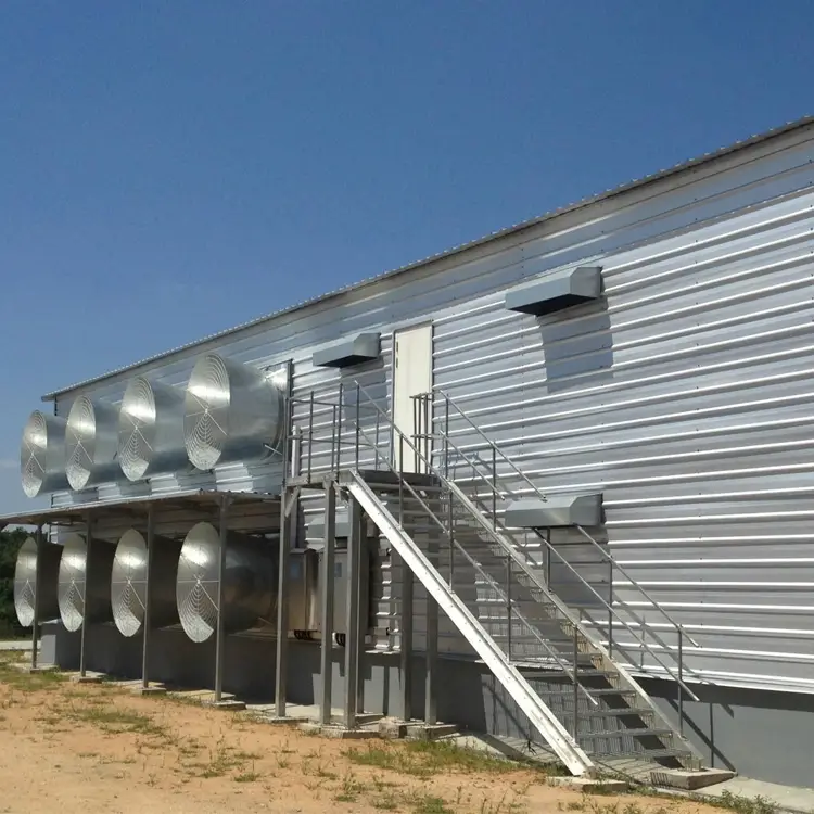prefabricated cage system poultry shed ground system poultry house and floor system poultry shed 1