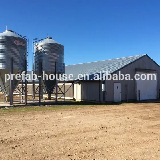 ISO9001 SGS High production efficiency steel structure poultry house 1