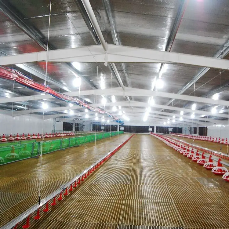 Animal Husbandry Equipment farm building design poultry house 1