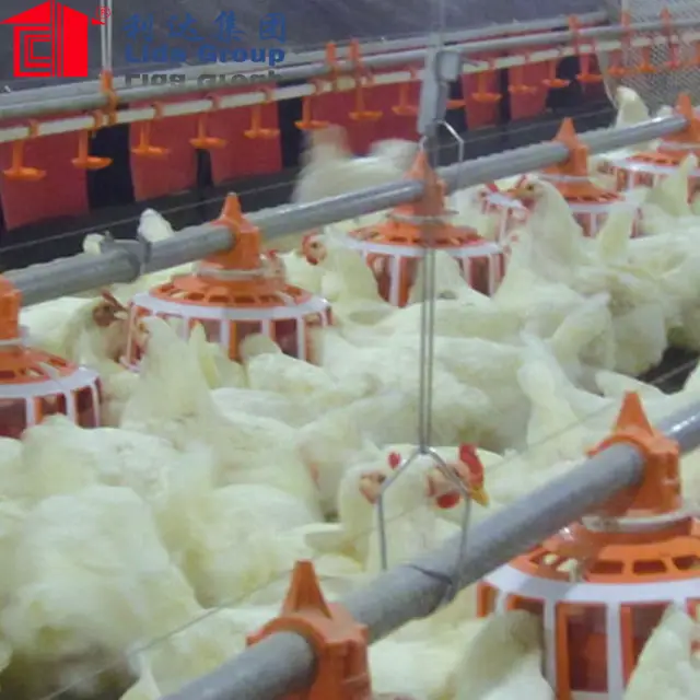 Steel Structure Chicken Coop Chicken Egg Poultry Farm 1