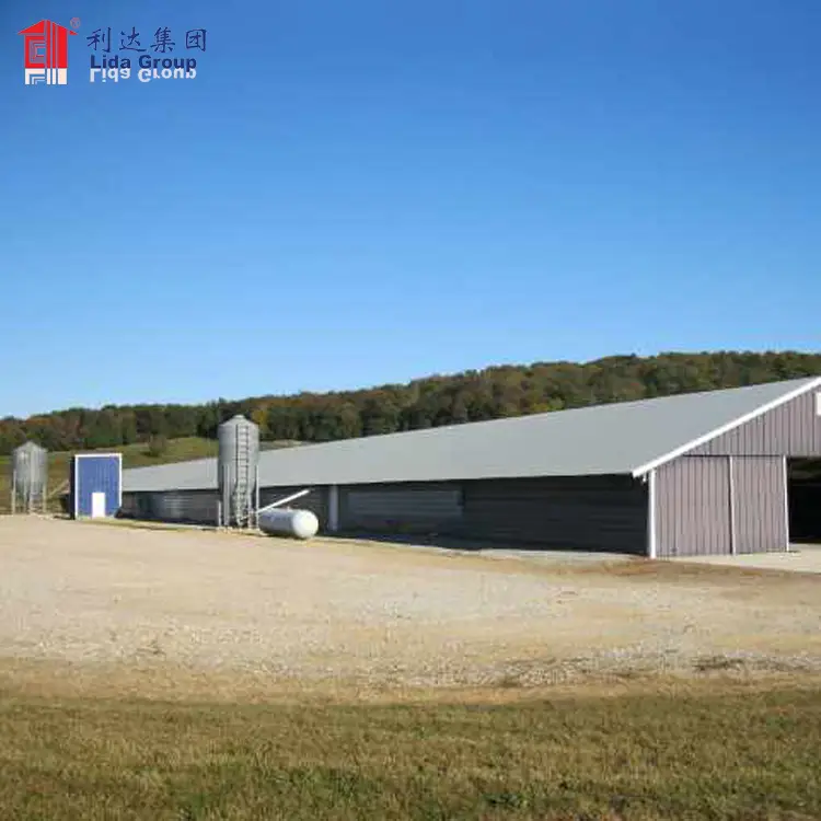 Chicken farm shed, chicken farm design 1