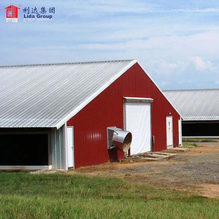 Chicken farm building for Malaysia, chicken breeding house 1