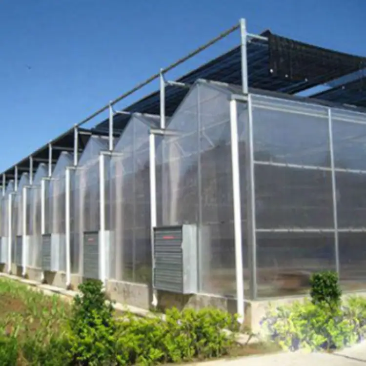 Multi-span agricultural Polycarbonate/PC Sheet Greenhouse 1