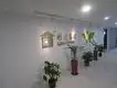 Nuevos diseños de casas de construcción de acero Suministro para taller 4