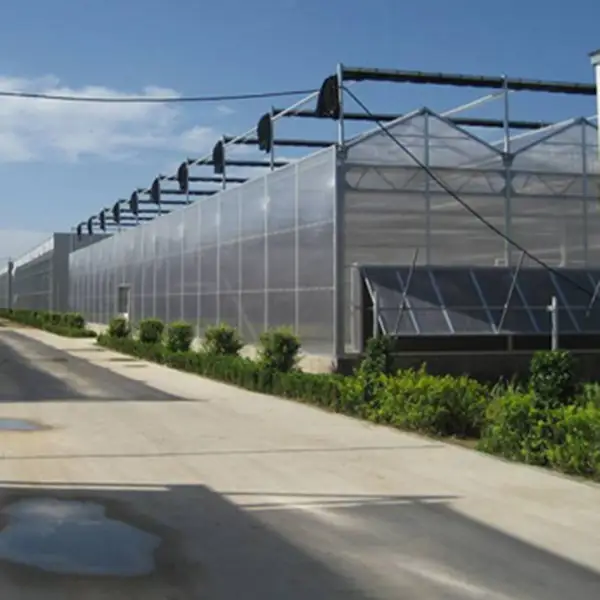 Large Commercial Green Houses Agriculture Greenhouse farming 1