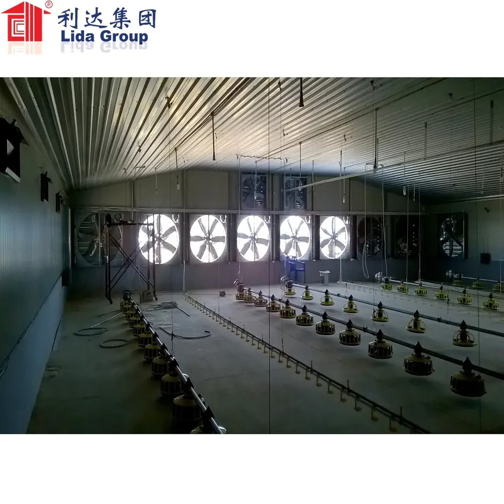 Low Cost Steel Poultry Shed 1