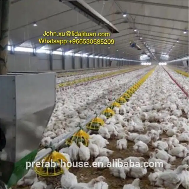 China steel poultry house 1