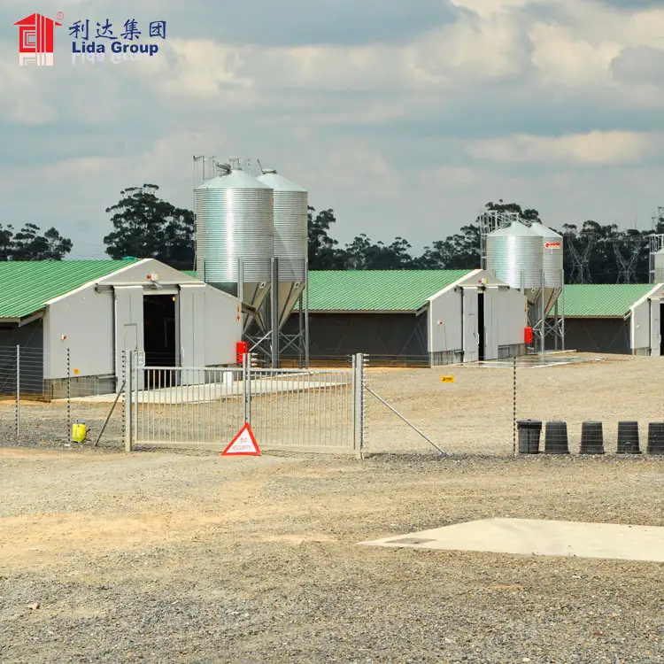 Hot dip galvanized BV test heat proof poultry shed construction farm on rent in nashik industrial chicken house 1