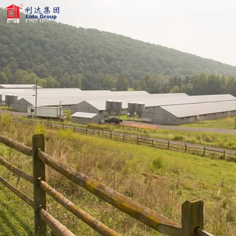 SGS test high quality heat proof alkyd painting types of poultry house to sudan farm building 1