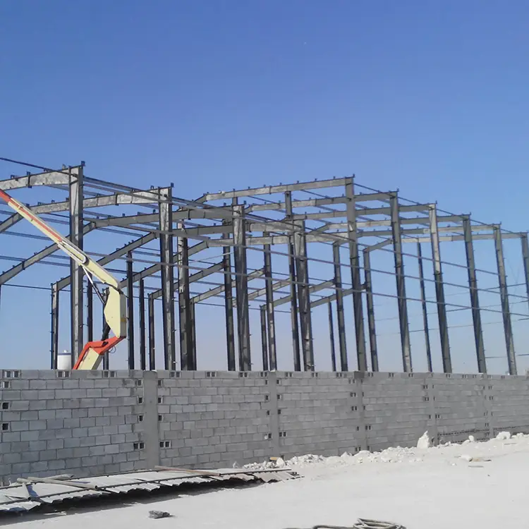 Factory price cheap building light weight steel structure hangar 1