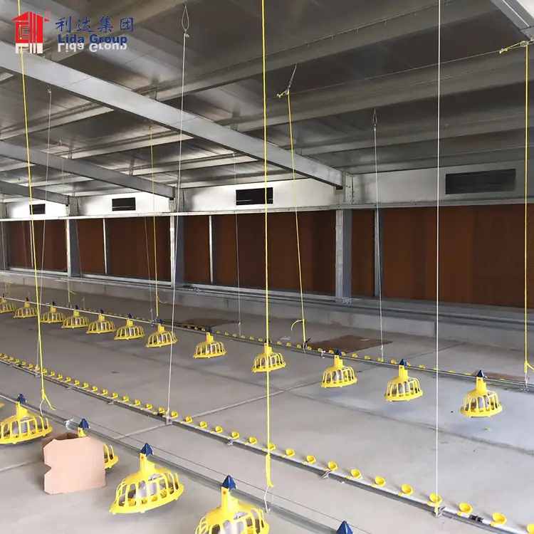Chicken farm building for Rwanda, chicken farm building design poultry hen house 1