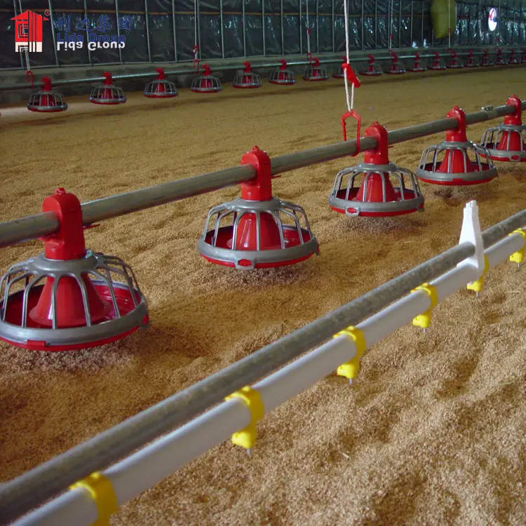 Poultry farm business plan sample pdf, poultry farm business plan pdf 1