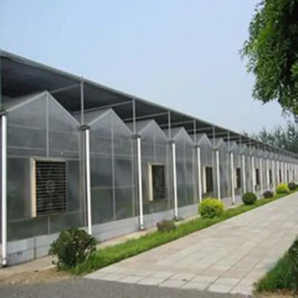 High Performance Venlo Polycarbonate Greenhouse with Complete Systems 1