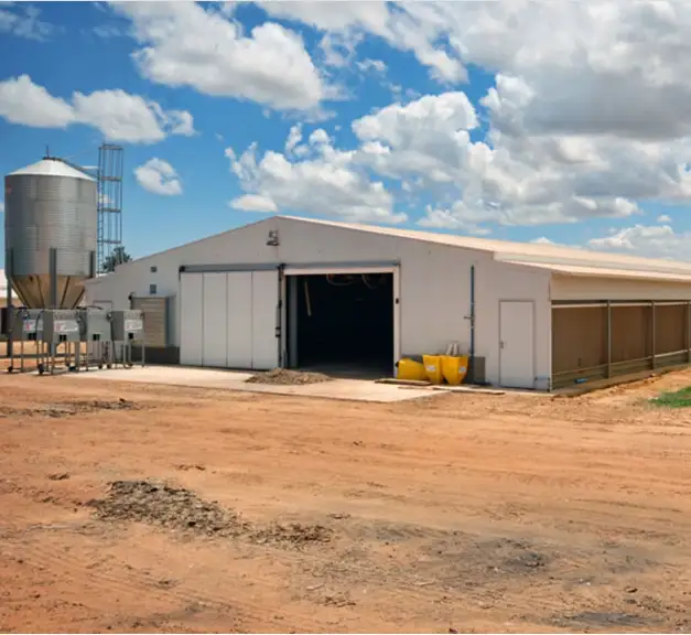 large span automatic poultry farm design for broiler chicken 1