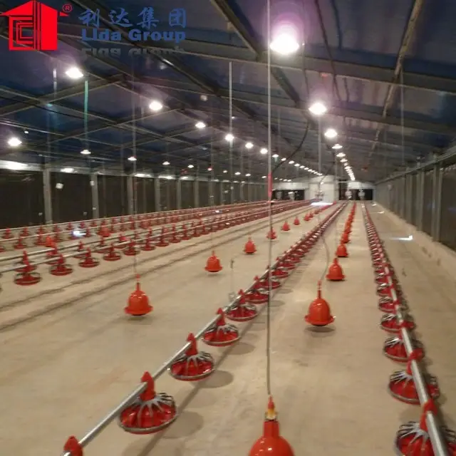 chicken layer house poultry farm house design layer egg chicken cage 80m*15m*3.2m 1