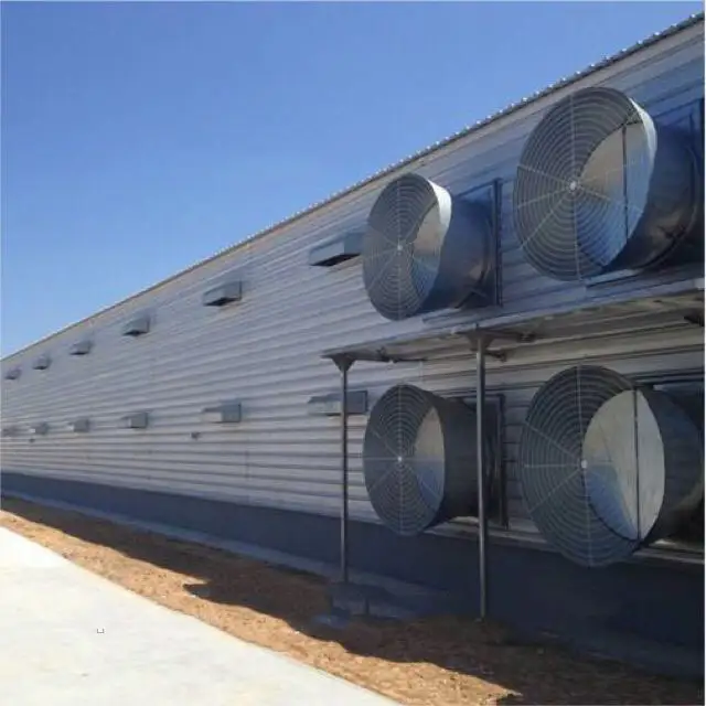 Steel poultry broiler galvanized low cost chicken farm 1