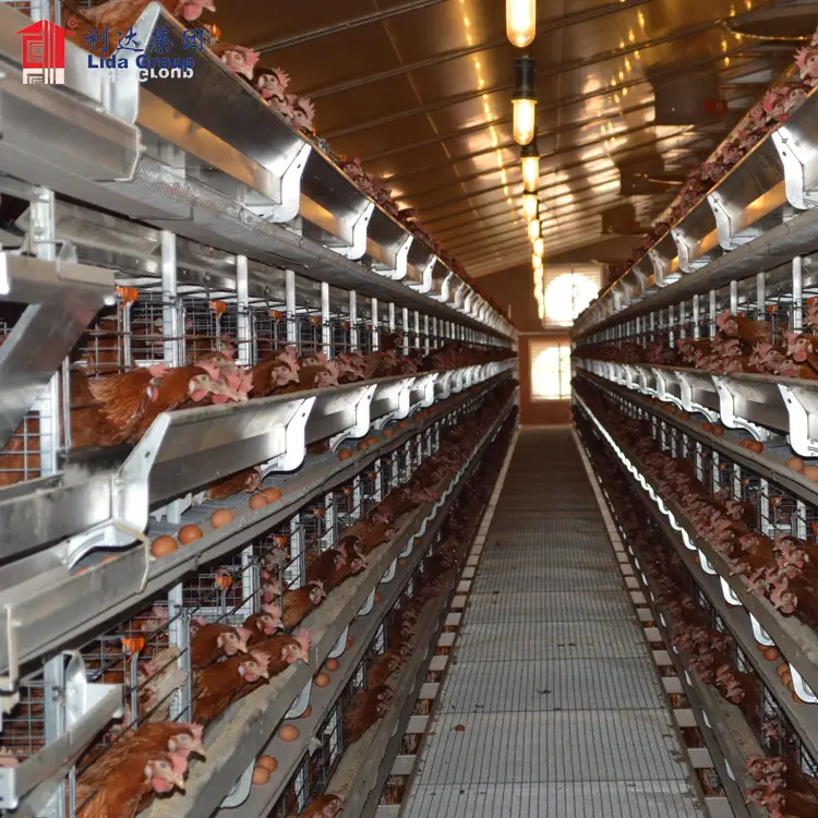Hot dip galvanized BV test heat proof poultry control shed farm on rent in pune used steel chicken house trusses 1