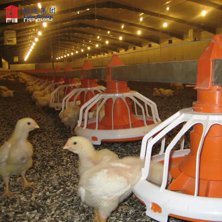 Hot dip galvanized BV test heat proof steel structural dairy farm shed poultry farm on rent near mumbai chicken broiler house 1