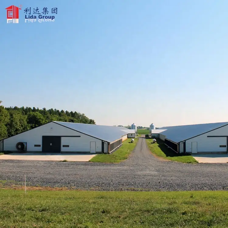 Prefabricated poultry house design for layers in kenya farm 1