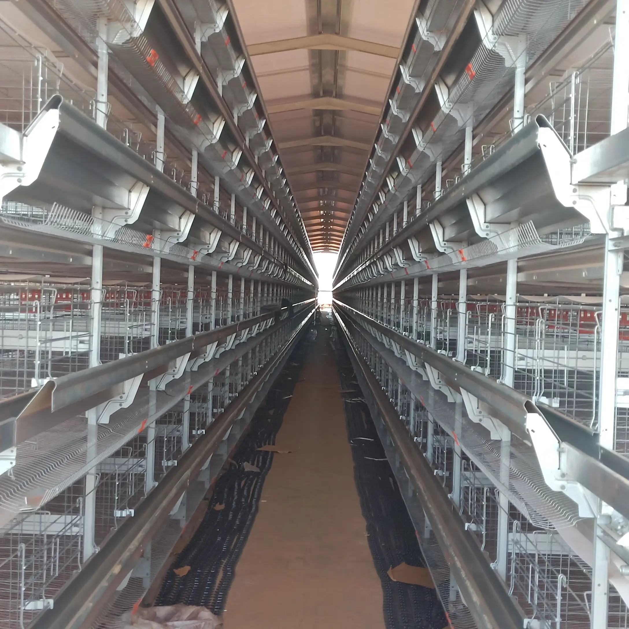 Diferentes tipos de gallineros 3000,5000,15000 aves con precio competitivo 1