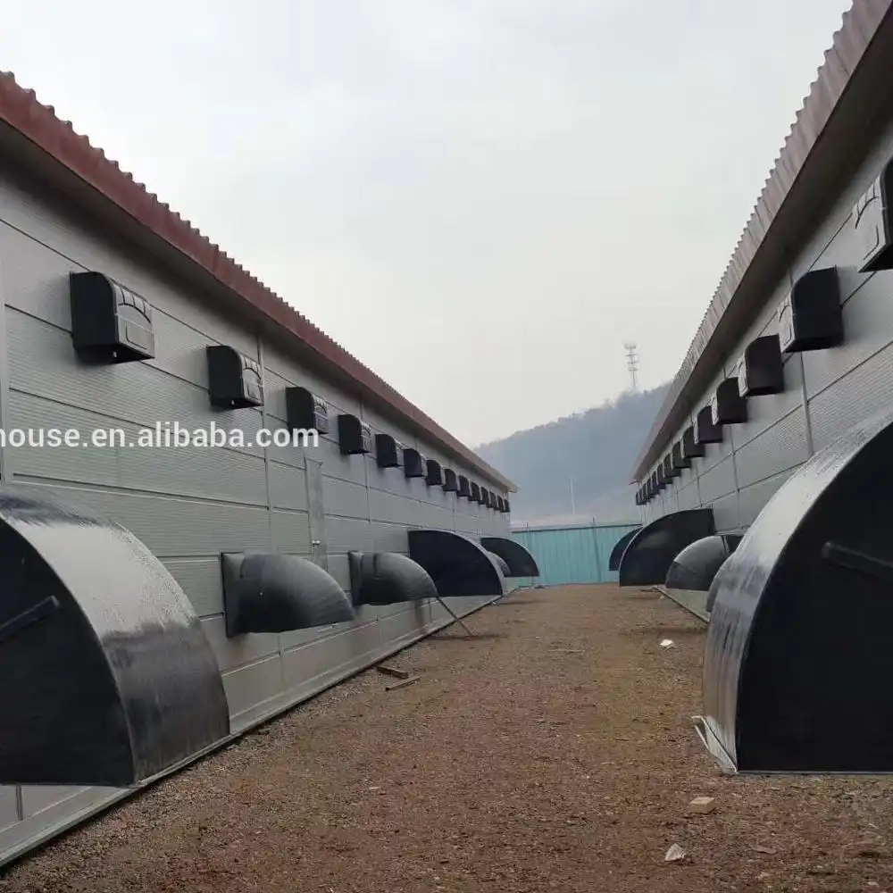 Chicken poultry house 3000,5000,15000 birds with competitive price 1