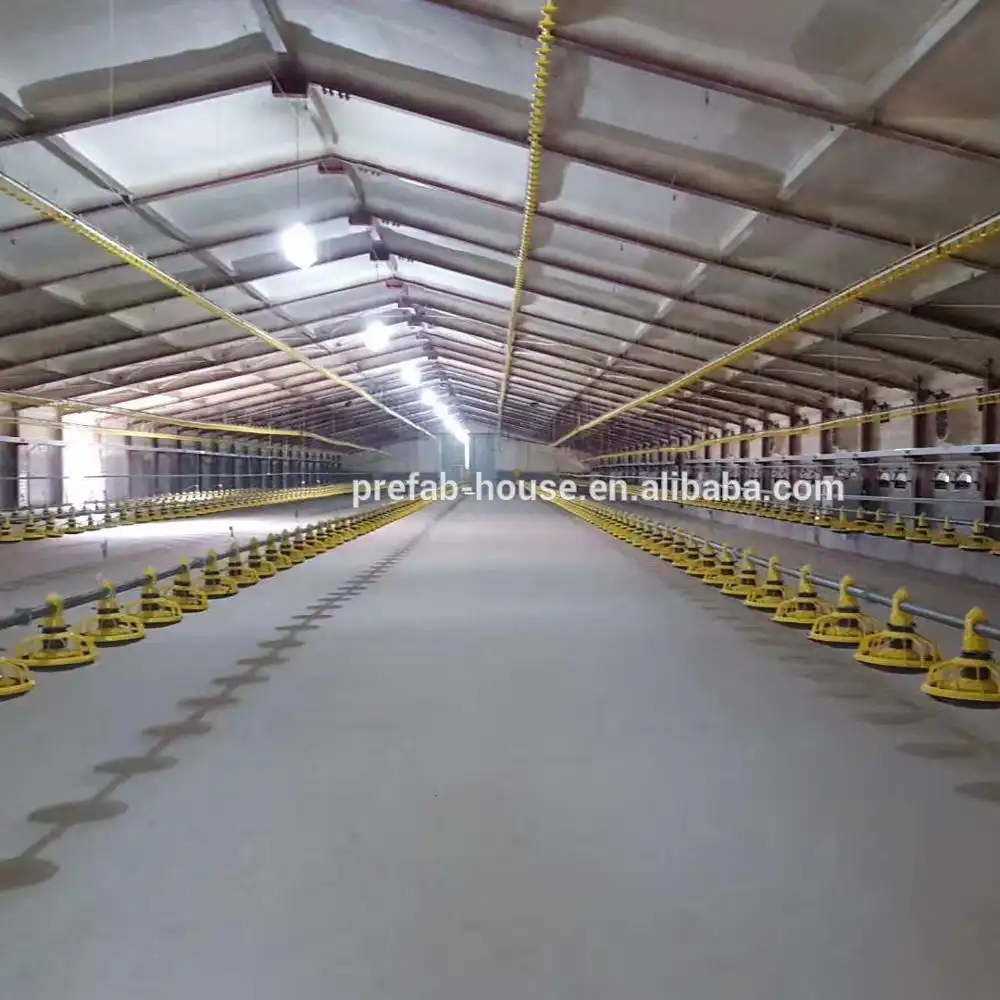 Poultry house price 3000,5000,15000 birds with competitive price 1