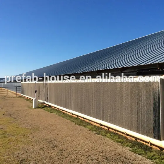 Free Designing Drawing Prefabricated Steel Structure Chicken House Steel Poultry House 1