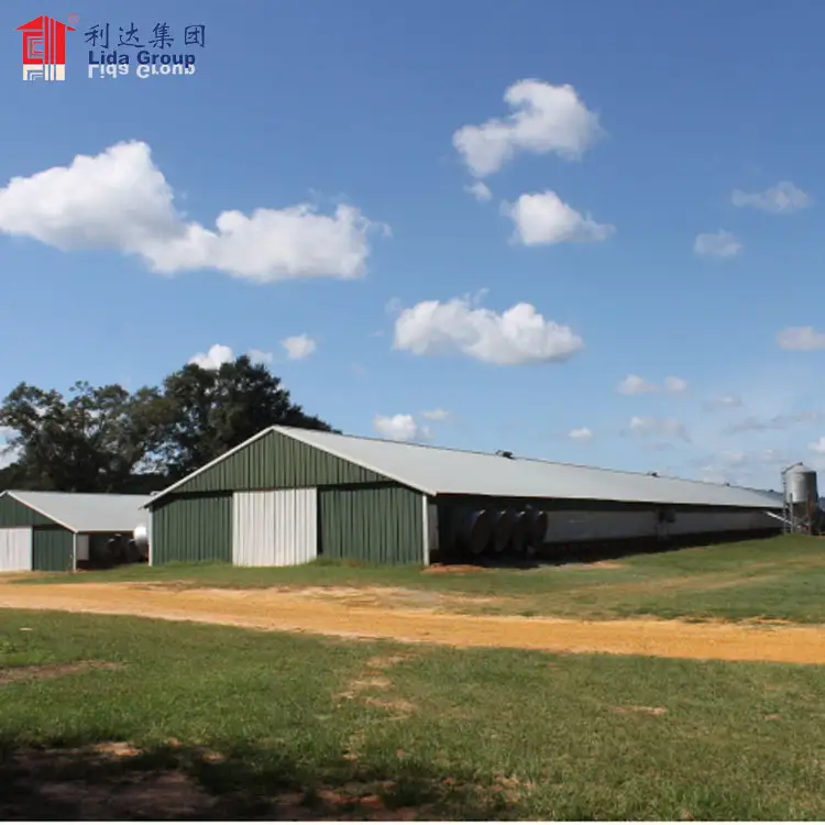 Poultry shed design modern chicken farm building for South Africa 1