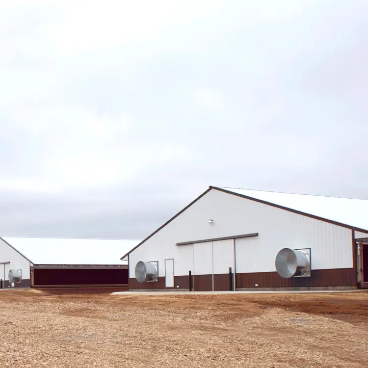 Oem Modern design poultry farm for cyprus Factory Price-Lida Group 1