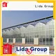 Best how to make a homemade greenhouse for business for changing the growing conditions of plant 1